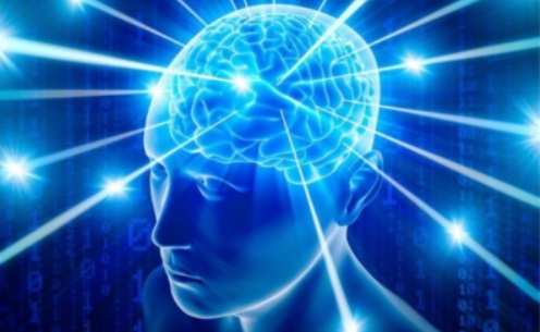 Training a Feedforward Neural&nbsp;Net